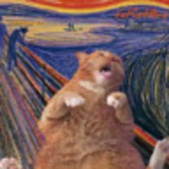 Meet your Posher, Sarah - Picture 1 of 1